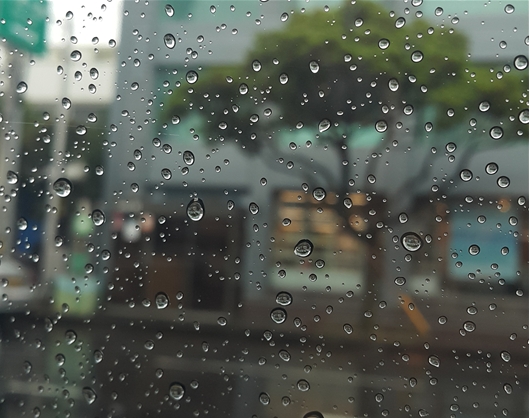 Á¦ÁÖ, ¿¬ÈÞ Ã¹³¯ È帮°í Àϱ³Â÷ Ä¿¡¦¿ÀÀü ÇѶ§ ºñ